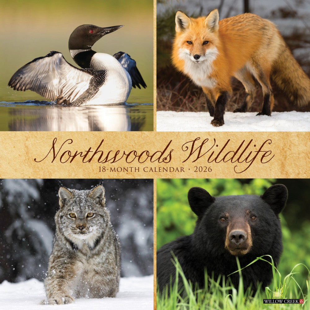 Northwoods Wildlife 2026 12" x 12" Wall Calendar (free shipping)