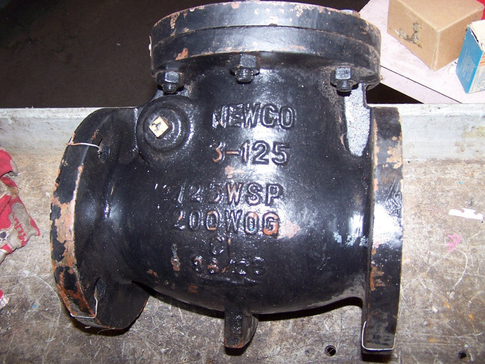 NEW NEWCO 3" CAST IRON SWING CHECK VALVE 3-125  125 WSP 200 WOG  