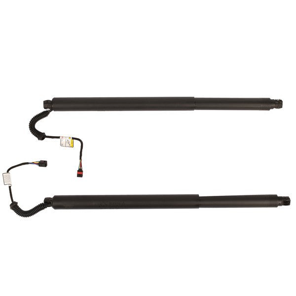 2Pcs Rear Left Right Power Lift Gate Cylinder Struts For 2015-2019 Nissan Murano