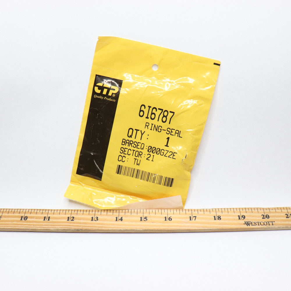 CTP Snubber Seal 6I6787