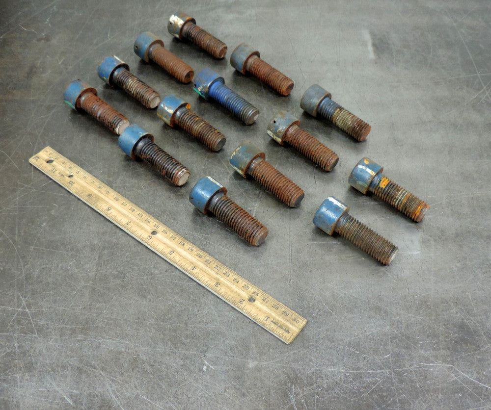 Industrial Socket Head Metric Cap Allen Bolt M20 x 55MM Lot of Fourteen (14)
