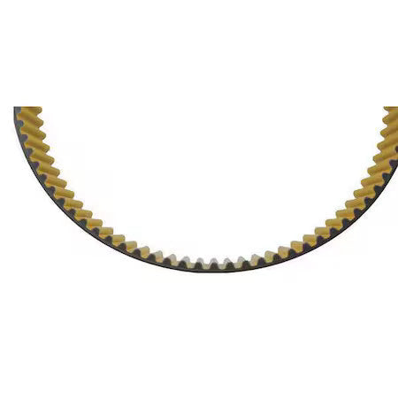Continental Ctd8m-1200-12 Sync Drive Gearbelt,Ctd,150 Teeth,12Mm W