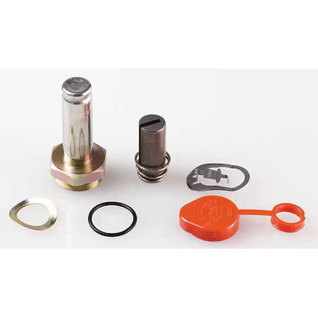 Asco 302022-V Valve Rebuild Kit