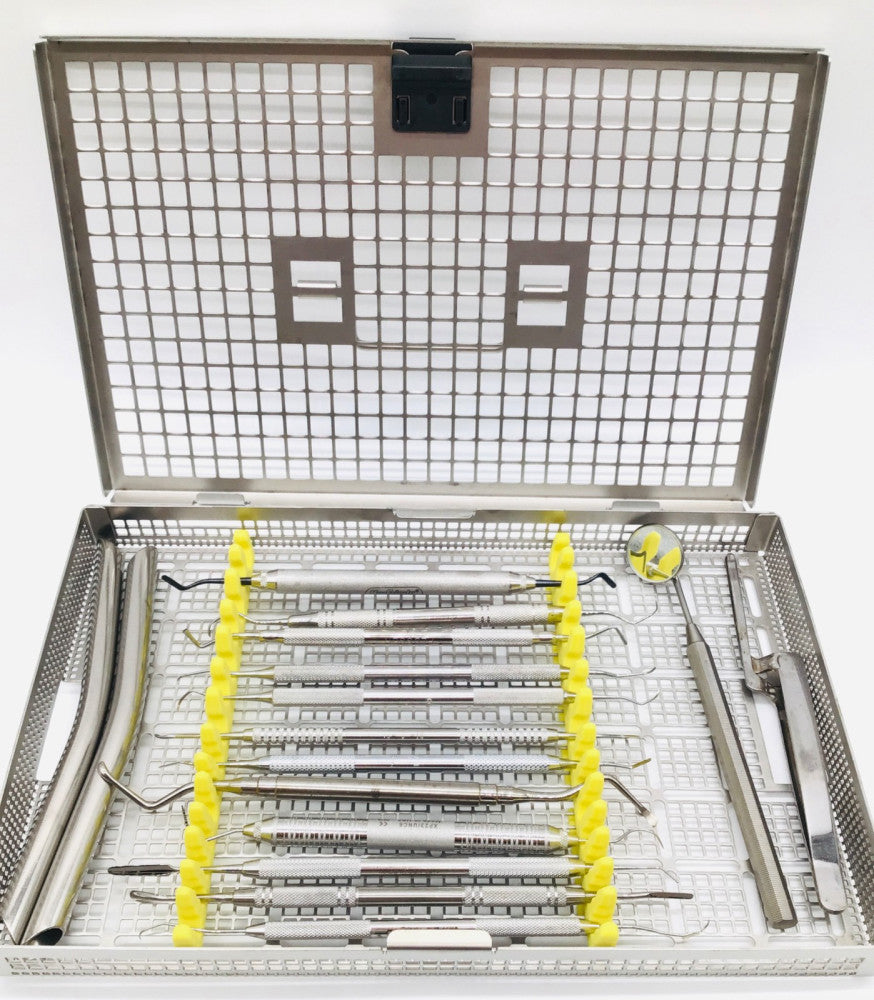 Assorted 16pc Dental Instrument Set with Case