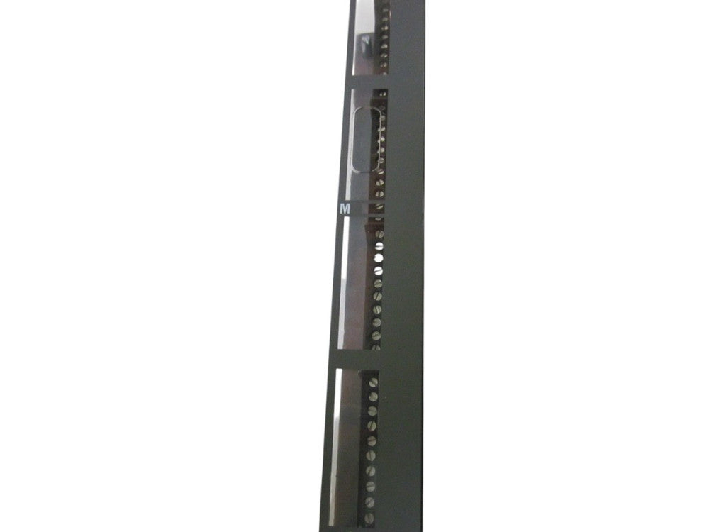 SCHIELE S800 INPUT-MODULE  NSMP