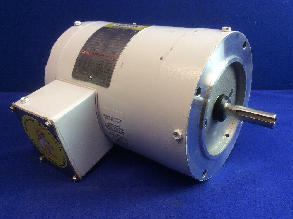 Leeson 113022.00 WASHGUARD MOTOR 3/4HP 3PH 60HZ 3450RPM C6T34VC1G