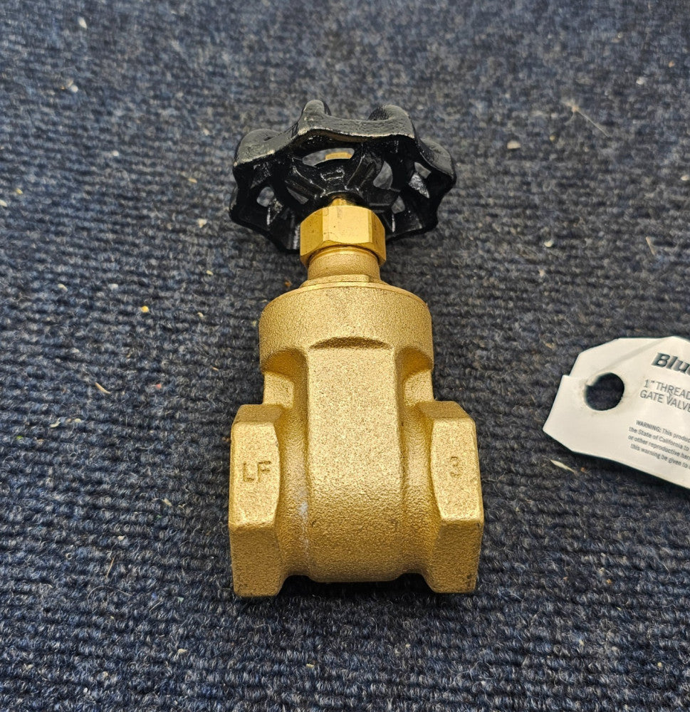 Bluefin GTVT100: 1" FNPT x 1" FNPT Threaded Brass Lead Free Gate Valve