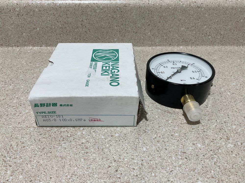 Nagano Keiki AE10-181 100 X 0.6MPA NEW