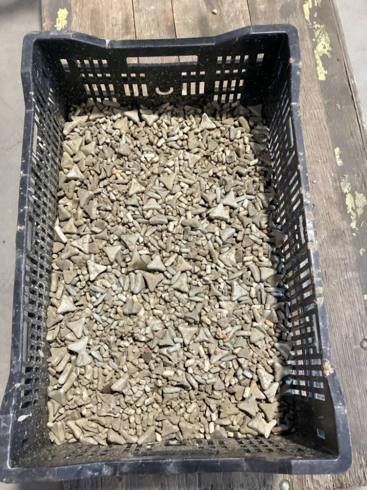 Abrasive Polishing Tumbler Media Material