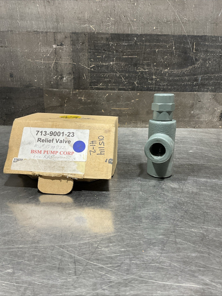 BSM PUMP 713-9001-23 / 713900123 Relief Valve NOS