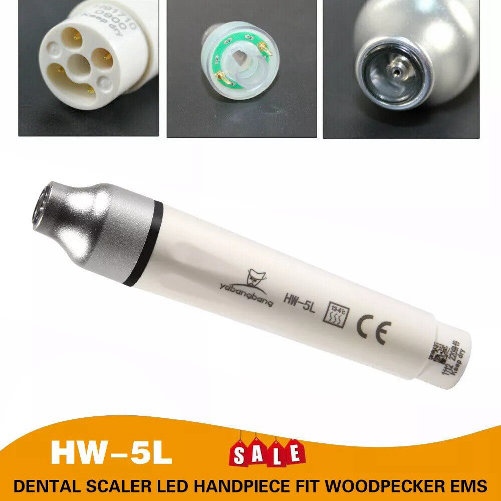 US Dental LED Ultrasonic Scaler Handpiece Fit Woodpecker EMS Cavitron HW-5L