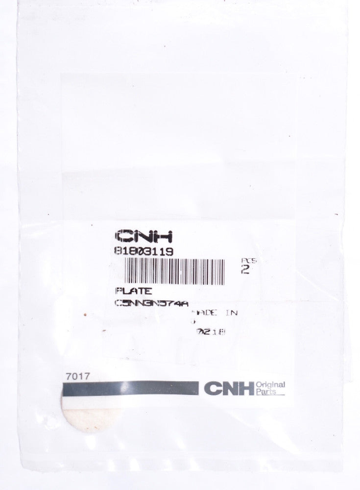 CNH Case New Holland Felt Washer  81803119