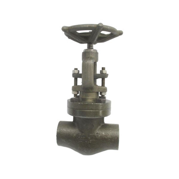 VOGT 44245-2R20 SW-12141 1975PSI 1" NSNP
