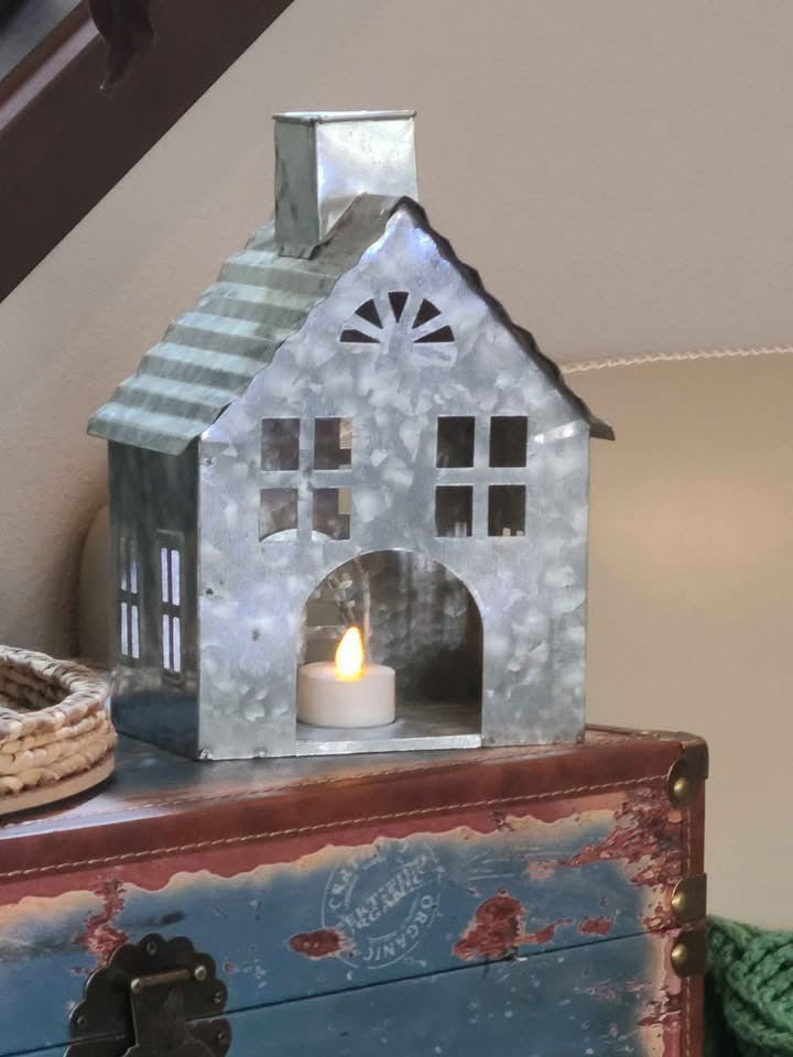 Little galvanized house
