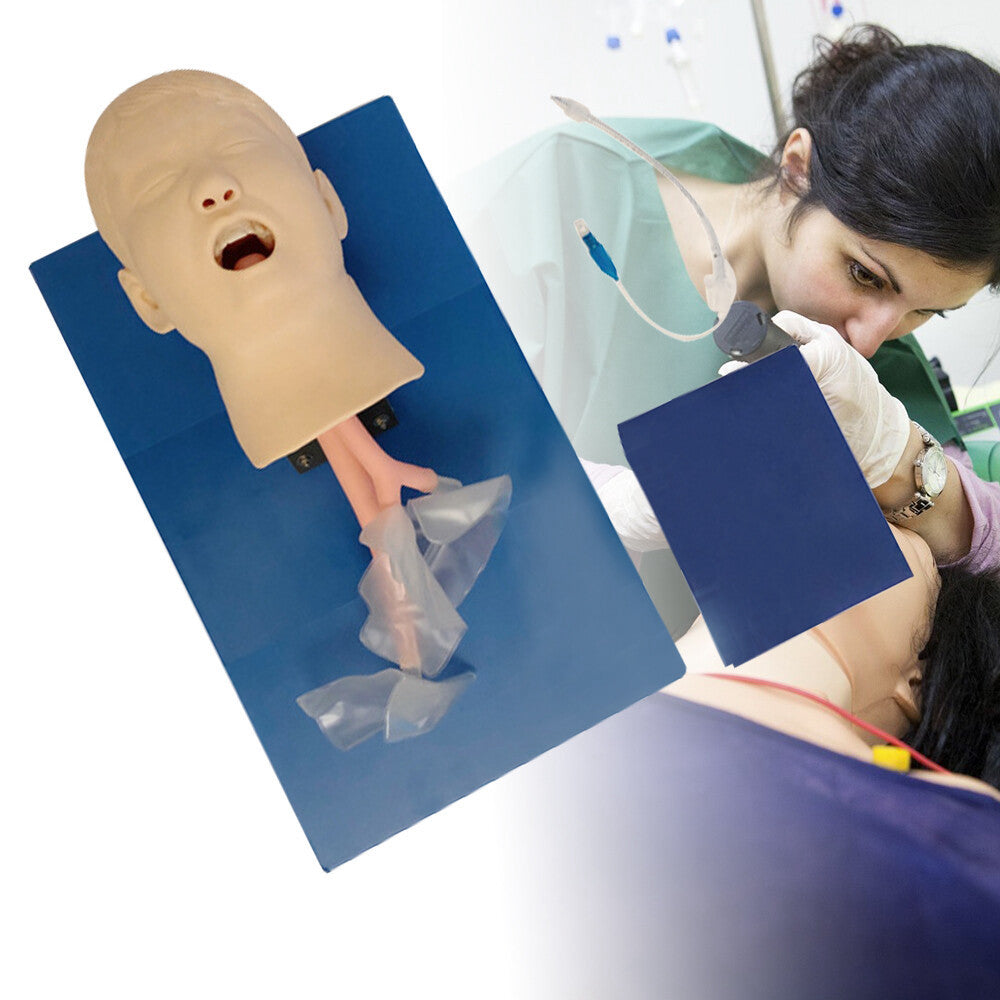 ET/J16 Airway Management Trainer Intubation Head Manikin Lab Training Teaching