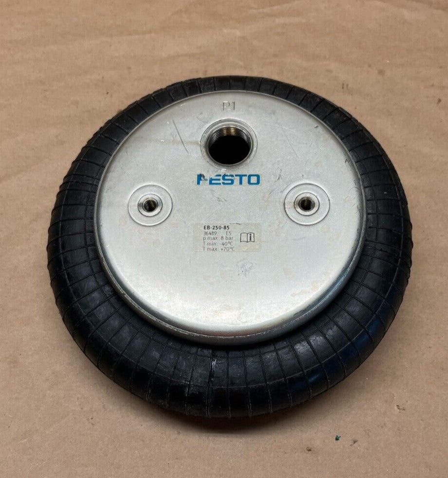 FESTO EB-250-85 Airbag Cylinder 36489
