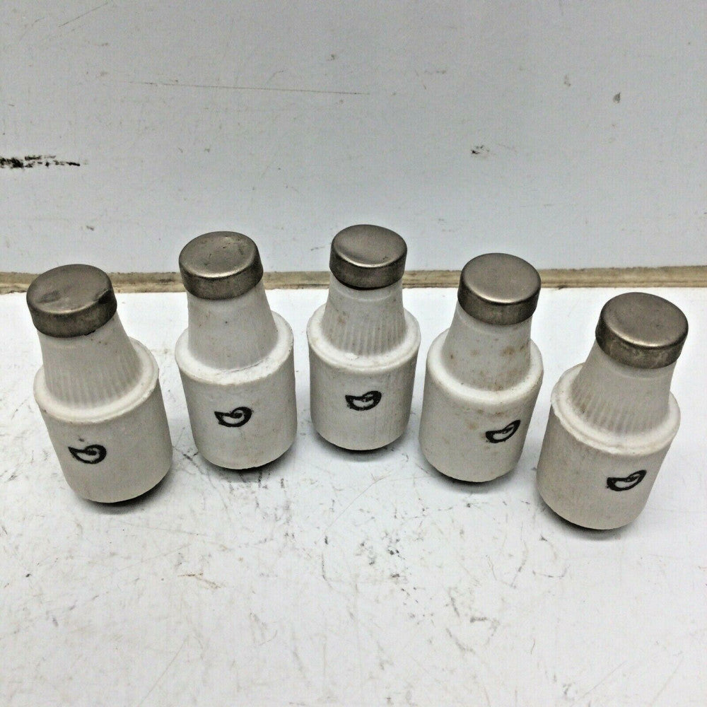 Wolfes & Weisse 25A 500V Bottle Fuse, SICHERUNGEN, PROPPAR (5 PACK)