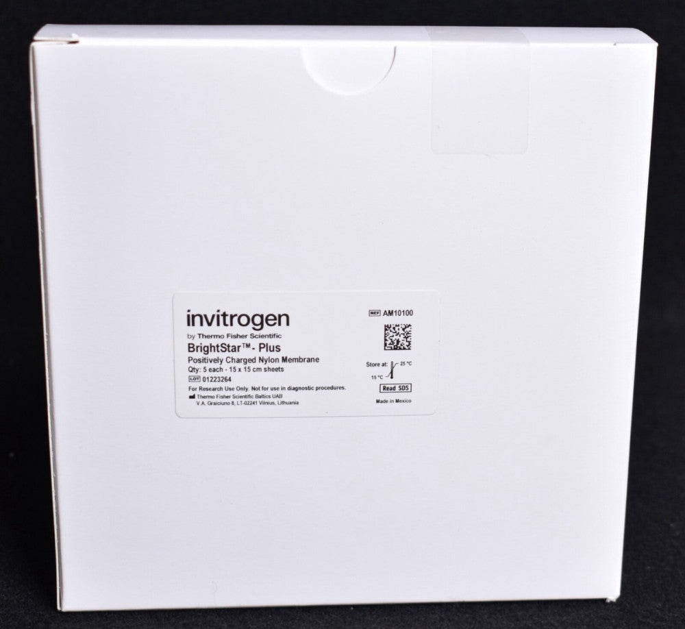 5 Invitrogen BrightStar Plus Pos Charged Nylon Membranes 15cm x 15cm AM10100