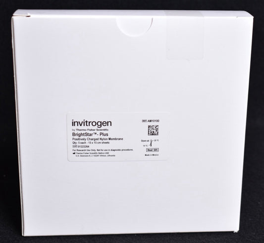 5 Invitrogen BrightStar Plus Pos Charged Nylon Membranes 15cm x 15cm AM10100