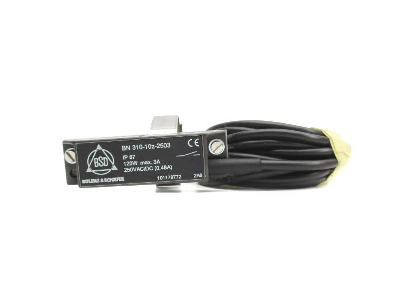 BOLENZ&SCHAFER BN310-10Z-2503 250VAC/DC 0.48A NSNP