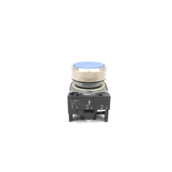 PUSH BUTTON G/180613 NSNP
