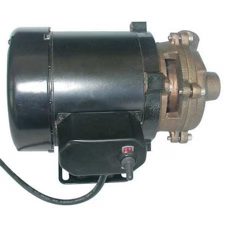 Dayton 5Pxx3 Brass 1/8 Hp Centrifugal Pump 115V