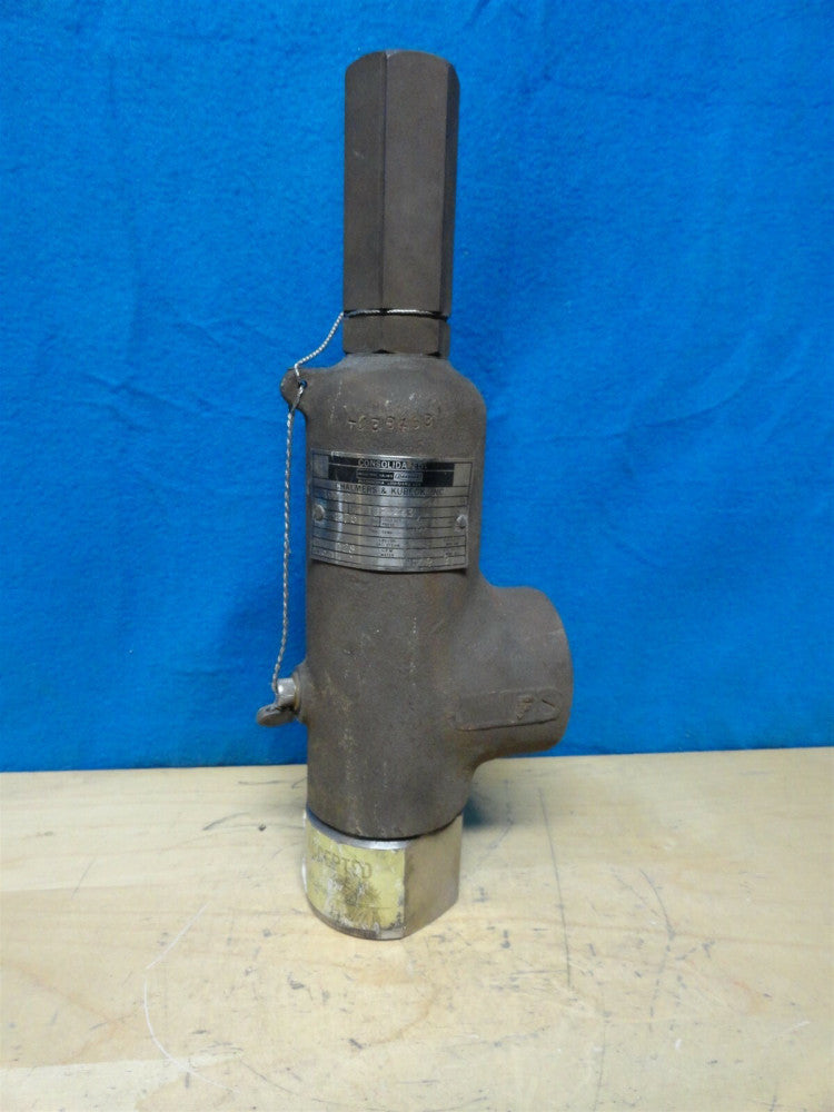 CHALMERS & KUBECK ~ INDUSTRIAL PRESSURE RELIEF ~ CONSOLIDATED VALVE ~ 1996C-1 