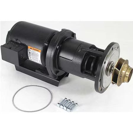 Teledyne Laars Ra2117201 Pump And Motor, 1/3 Hp