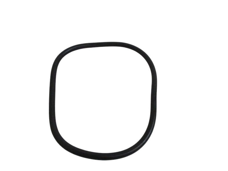 FISHER 1H862206992 O-RING  NSNP