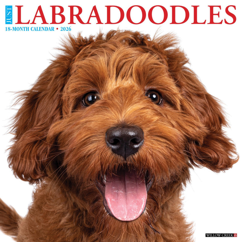 Labradoodles 2026 12" x 12" Wall Calendar (free shipping)