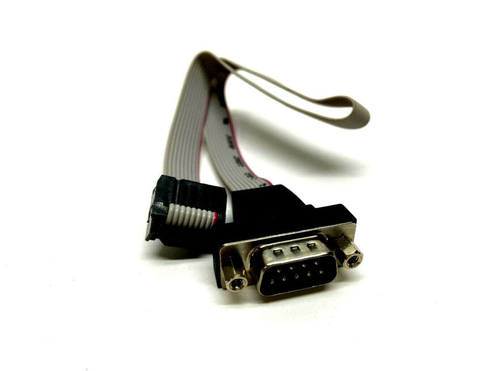 DB9 Male to Female 10 Pin Ribbon Cable 10" Long