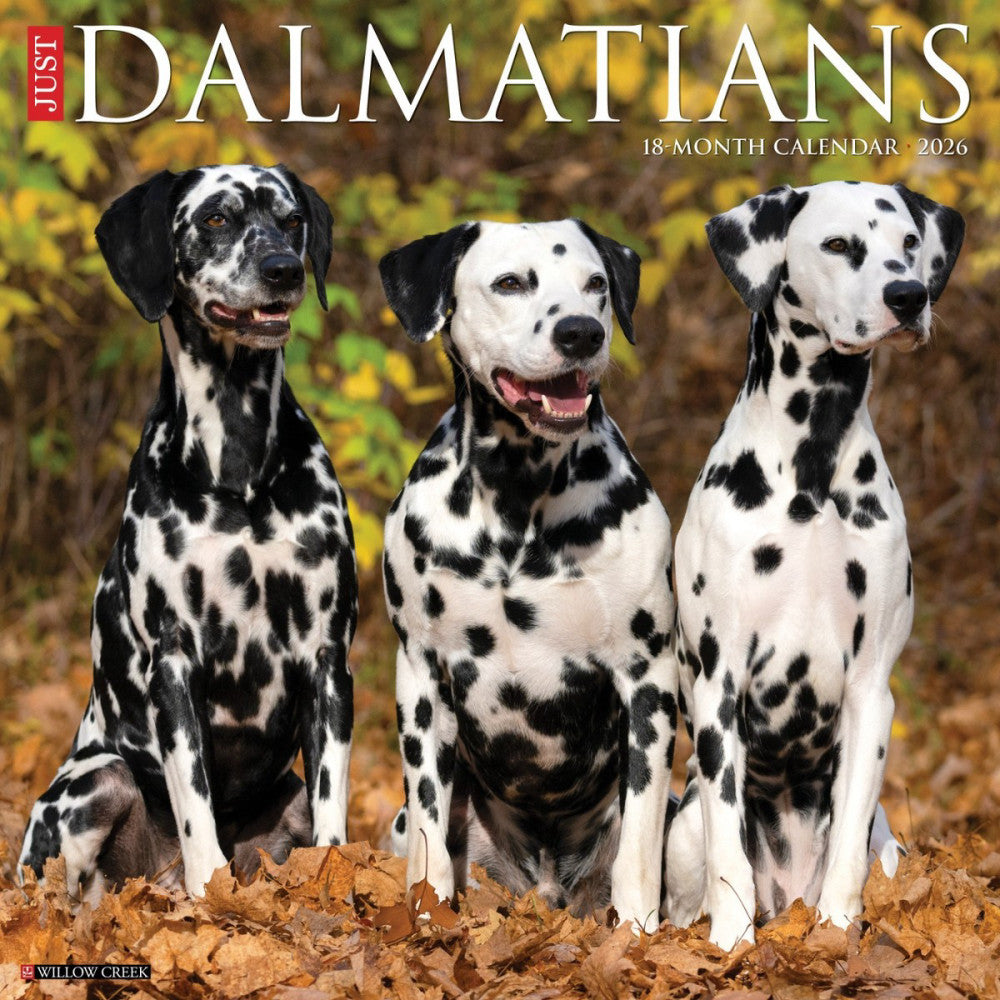Dalmatians 2026 12" x 12" Wall Calendar (free shipping)