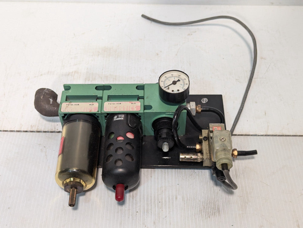 Numatics Pneumatic Regulator Assembly with F21A-03A / F21D-03A / 031SA4002