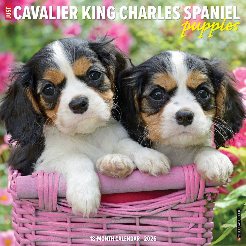 Cavalier King Charles Spaniel Puppies 2026 12 x 12 Wall Calendar (free shipping)