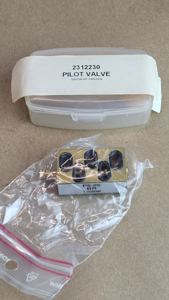 Pilot Valve 2312230 P5-25 BR for Flowserve Replacement