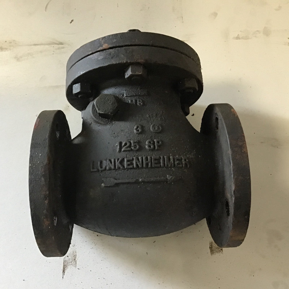 Lunkenheimer 125 SP Swing Check Valve 3" Backflow Preventer