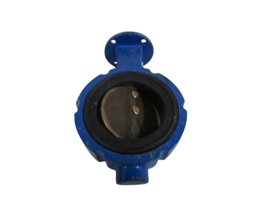 4" FIG 100  NSNP