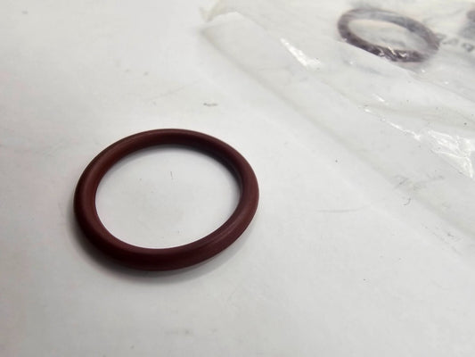 (10 PIECES) CNH 167269 O-Rings