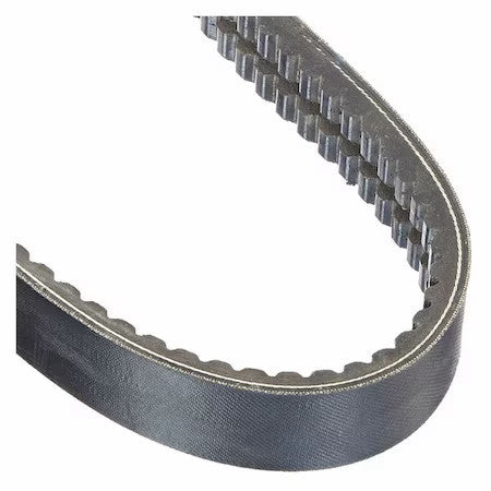 Continental 2/Bx54 2/Bx54 Banded Cogged V-Belt, 57" Outside Length, 1-21/64"