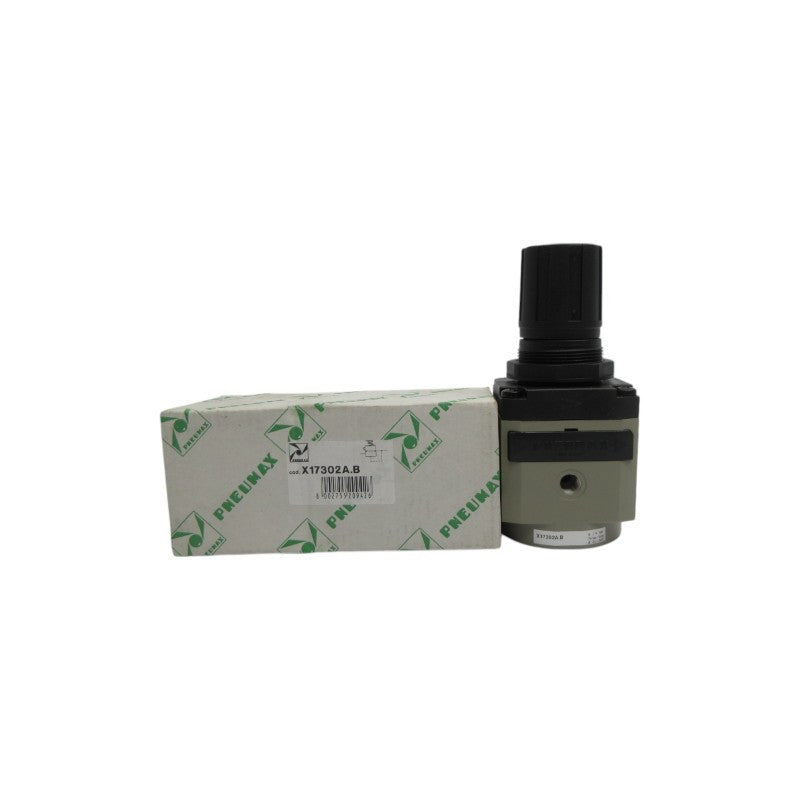 PNEUMAX X17302A.B NSMP