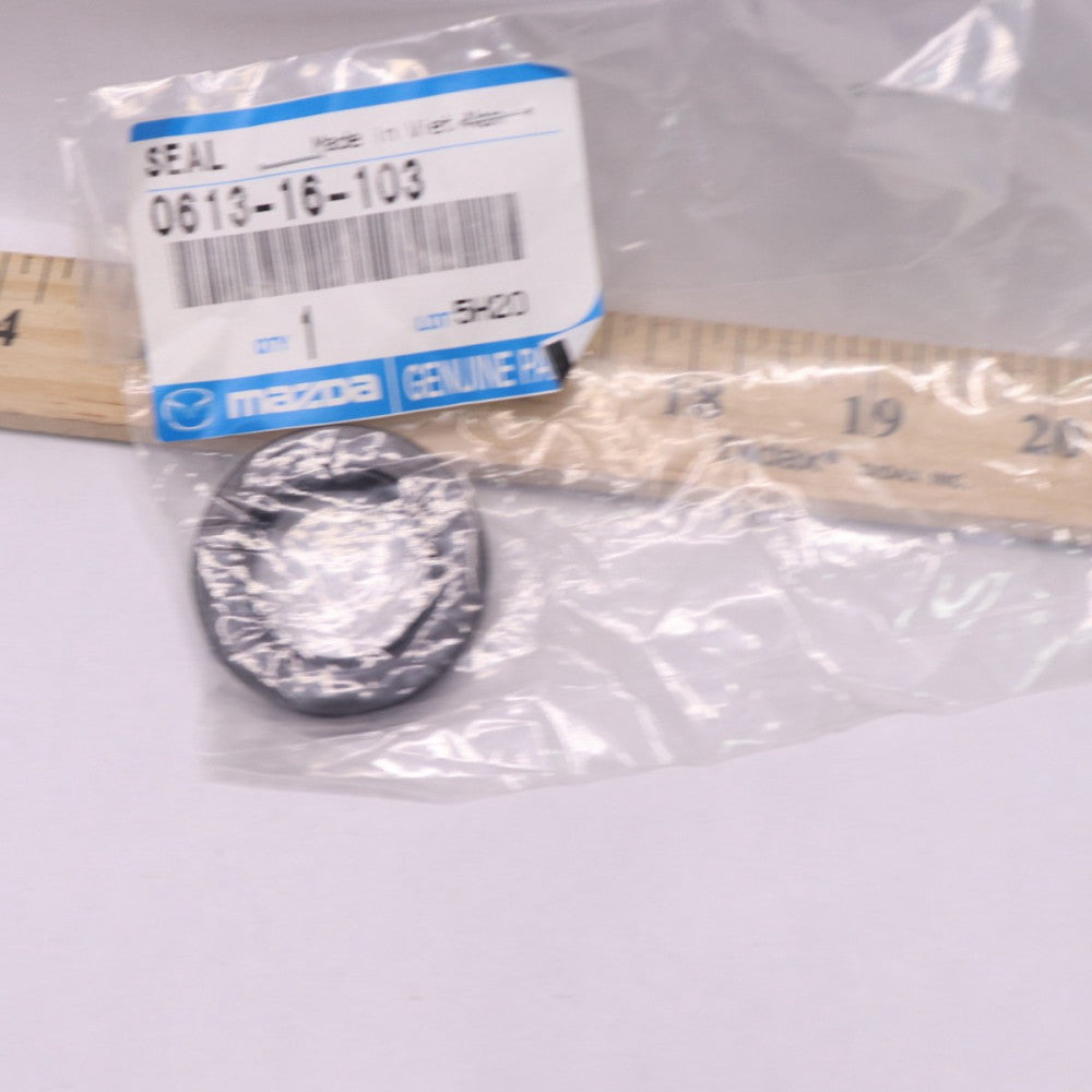 Oil Seal 0613-16-103  