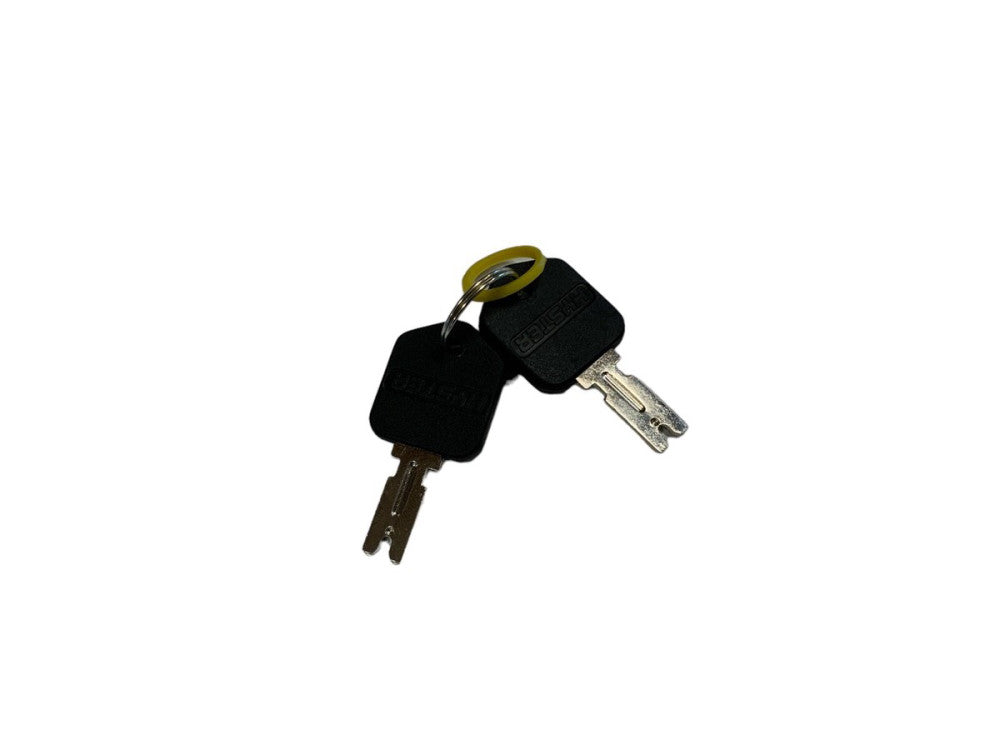 Hyster Forklift Key Set