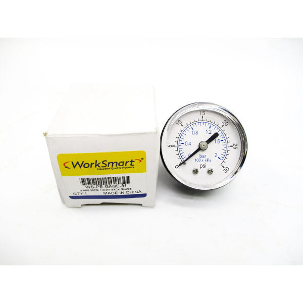 WORK SMART WS-PE-GAGE-31 30PSI 2" NSMP
