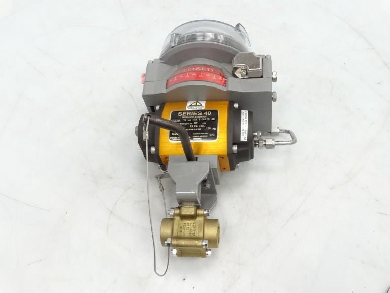 WORCESTER CONTROLS MODEL 10 W/ 3/4 E441166RTSE Actuator - New