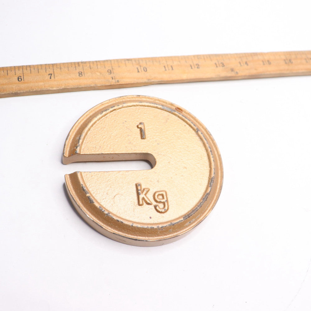 Metric Slotted Weights 1Kg 6" Dia. 