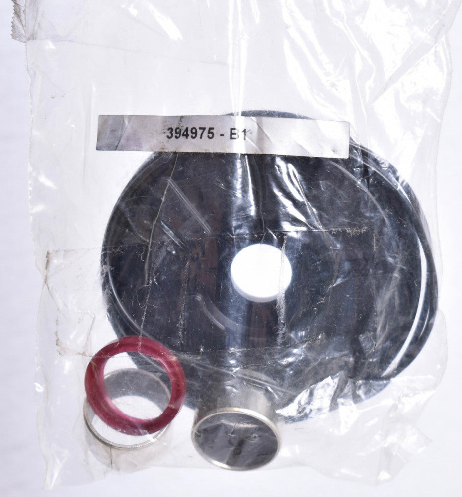 Air Cylinder Repair Kit for 95577707 Cylinders  SF710304 394975-B1