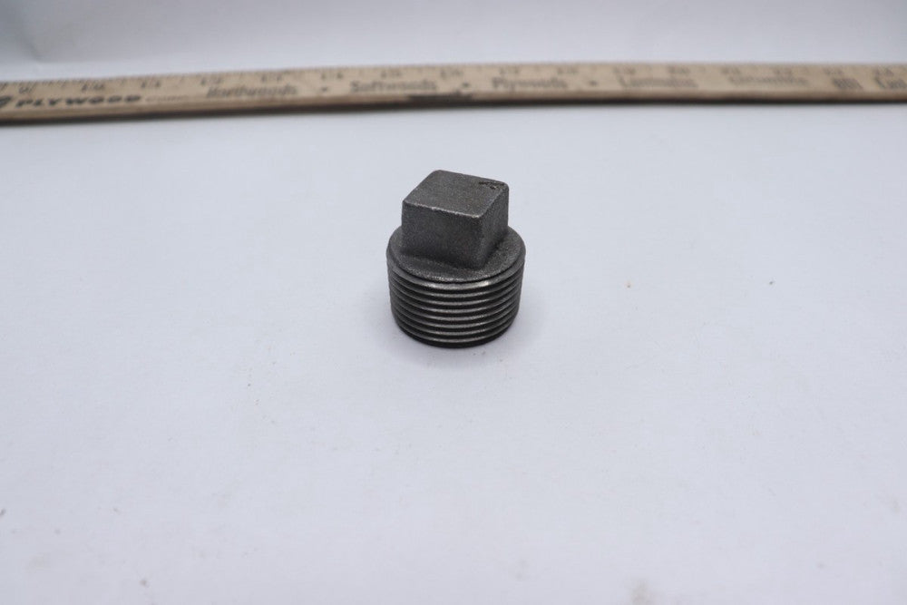 Galvanized Plug 2.5"