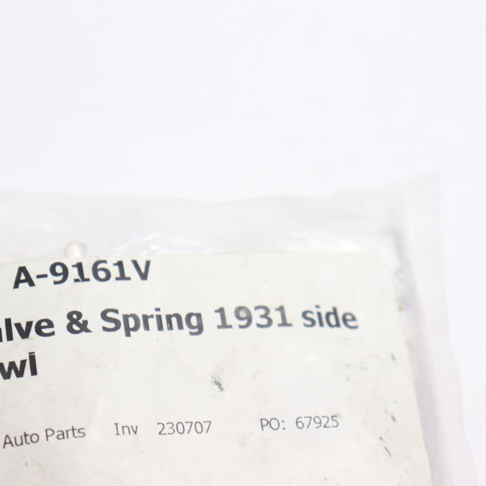 Drain Valve and Spring A-9161V