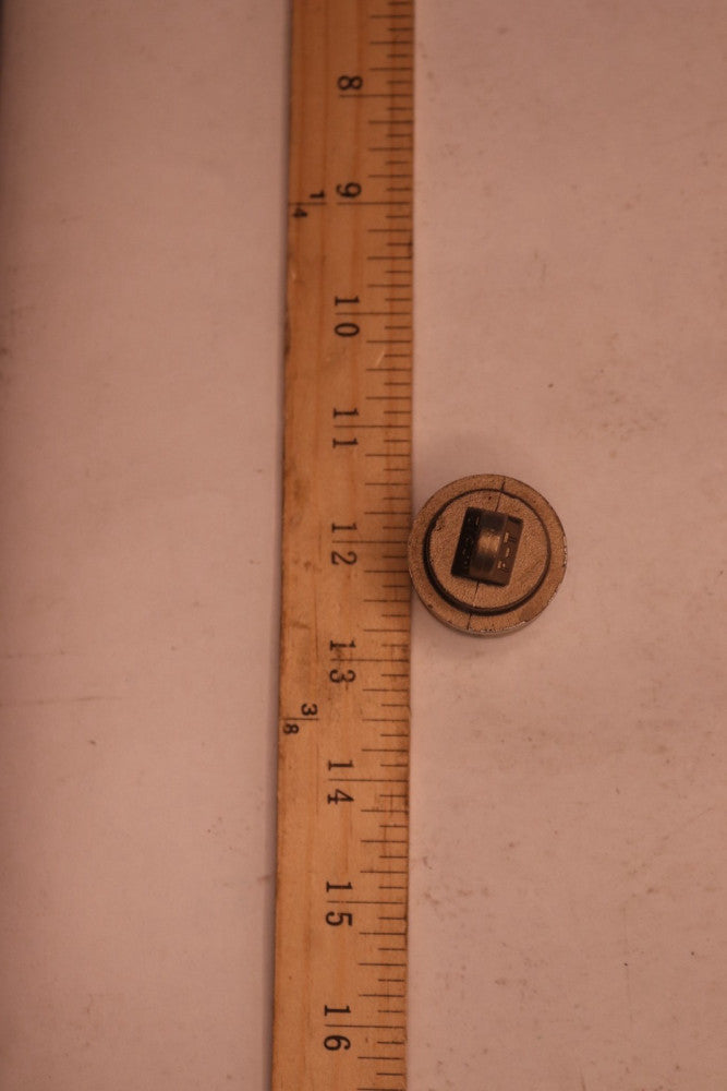Camlock Plug Stainless Steel 3/4" 3/4-W