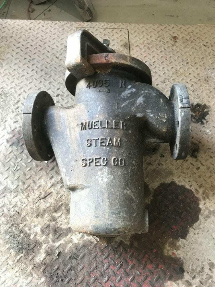Mueller Steam Specialty 4" Iron Flanged Basket Strainer